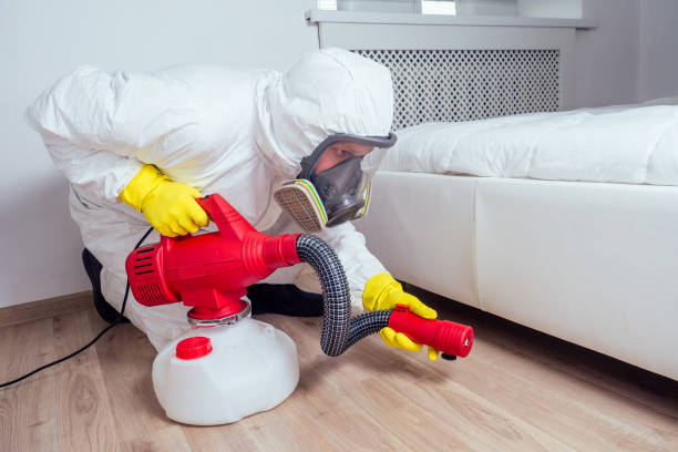 Best Local Pest Control Services  in Yoncalla, OR
