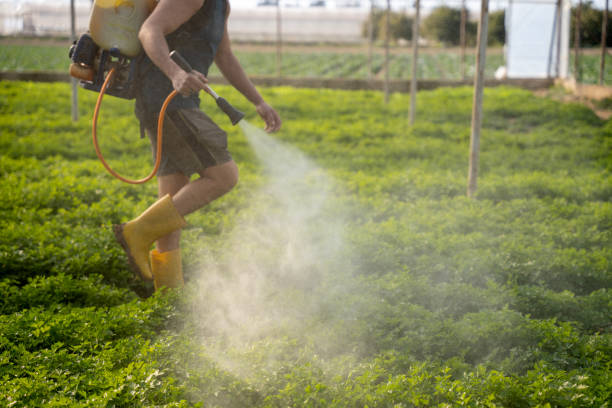 Best Best Pest Control Companies  in Yoncalla, OR
