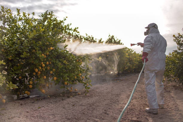 Best Rat Extermination Near Me  in Yoncalla, OR