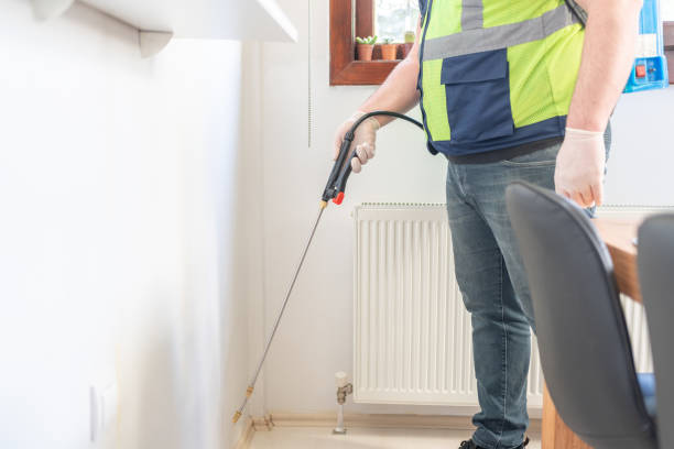 Best Wasp Removal Services  in Yoncalla, OR