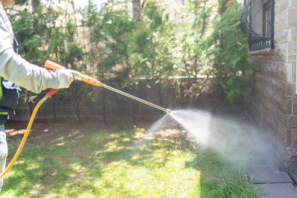 Best Rat Extermination Near Me  in Yoncalla, OR