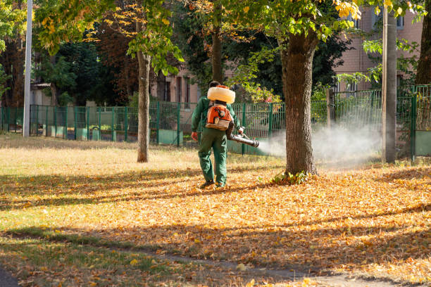 Best Flea Control Services  in Yoncalla, OR