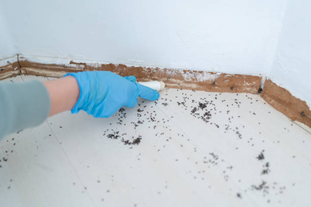 Best Residential Pest Control  in Yoncalla, OR