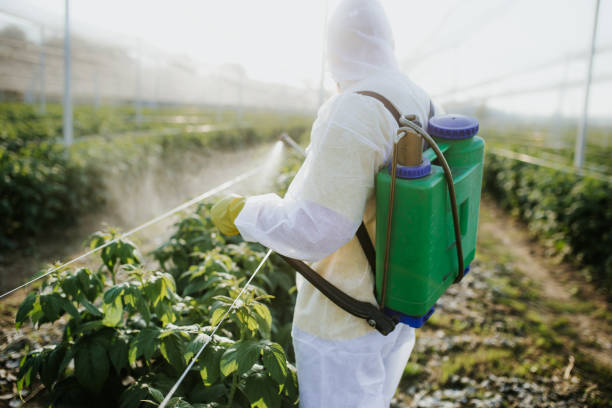 Yoncalla, OR Pest Control Company
